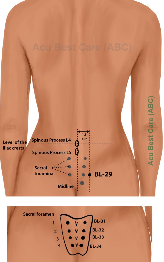 Acubestcare Meridian UB-29 or BL-29